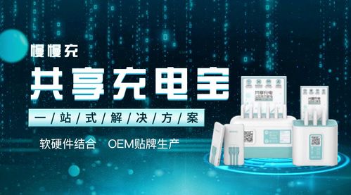 如何选择合适的共享充电宝OEM贴牌品牌及软件服务