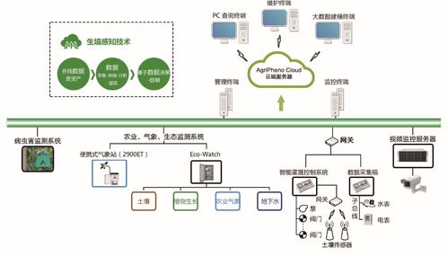 微软Azure与泽泉科技 基于公有云的智能软件服务解决方案
